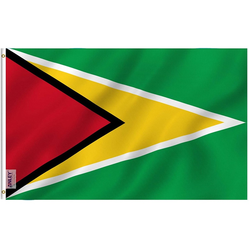 Anley – Guyana Polyester Flag – 3′ x 5′
