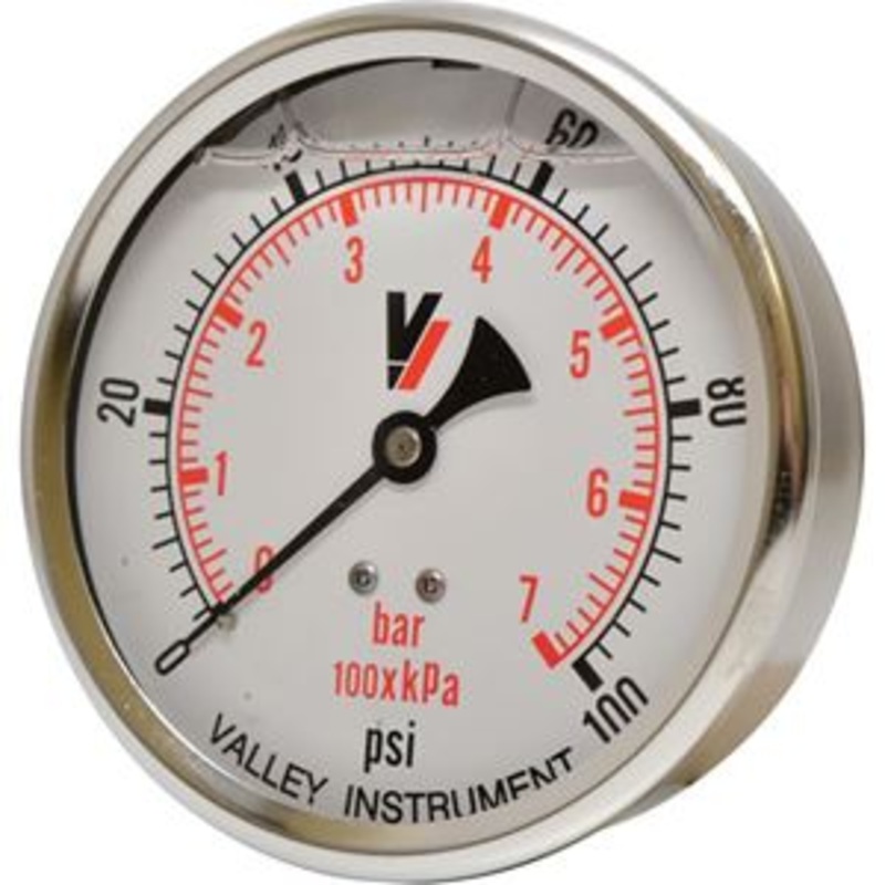 100 PSI Back Mount 4 SS Pressure Gauge