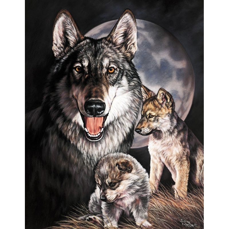 Graham Wolf Experience Tin Sign