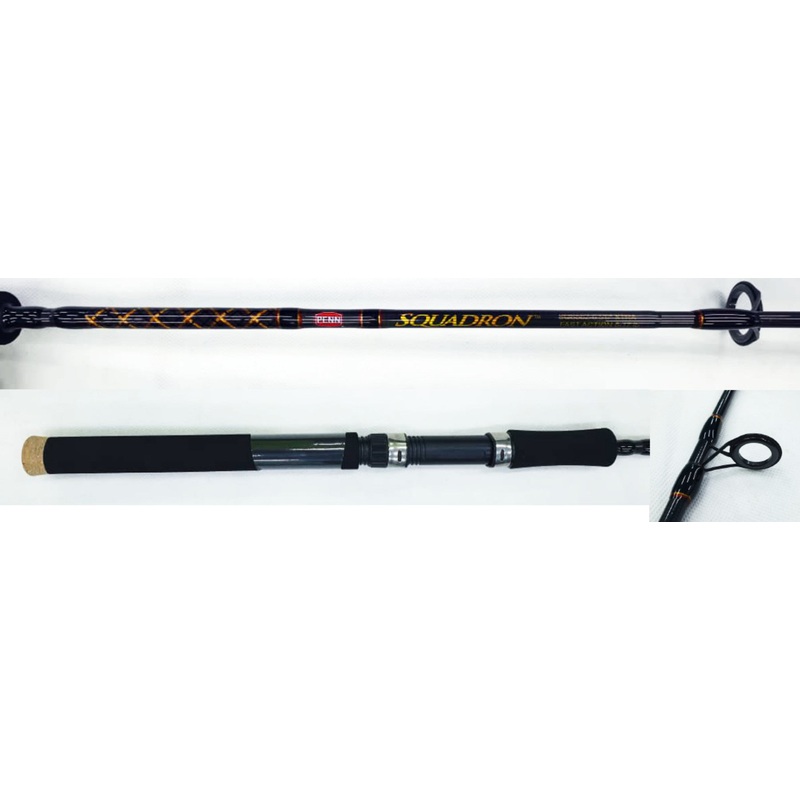 Penn Squadron Spin Rods 2-pc Med Short Rods