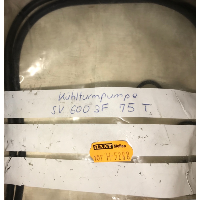 Wilo Mechanical Seal Kit SV6003F75T #1381