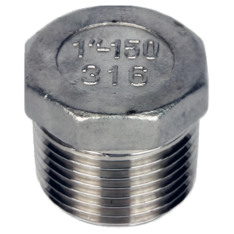 Stainless Steel 316 Hexagon Hollow Plug BSPT 150lbs