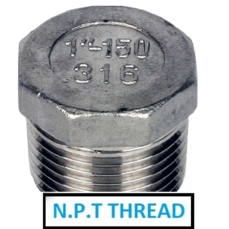 Stainless Steel 316 Hexagon Head Plug – NPT